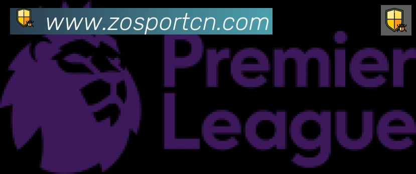 中欧体育合作伙伴